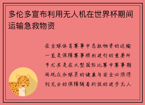多伦多宣布利用无人机在世界杯期间运输急救物资 多伦多宣布利用无人机在世界杯期间运输急救物资